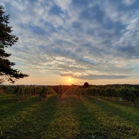 Pocitniska Hisa Soncni Vrh Spodnji Ivanjci