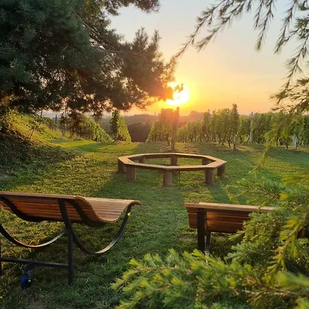 Pocitniska Hisa Soncni Vrh Spodnji Ivanjci