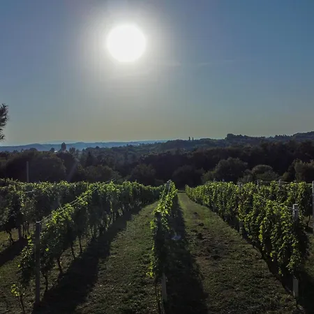 Semesterbostad Pocitniska Hisa Soncni Vrh