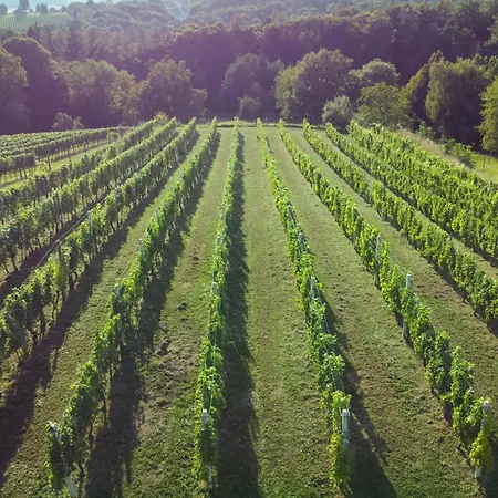 Pocitniska Hisa Soncni Vrh *