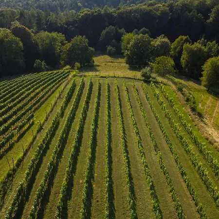 Pocitniska Hisa Soncni Vrh Vakantiehuis