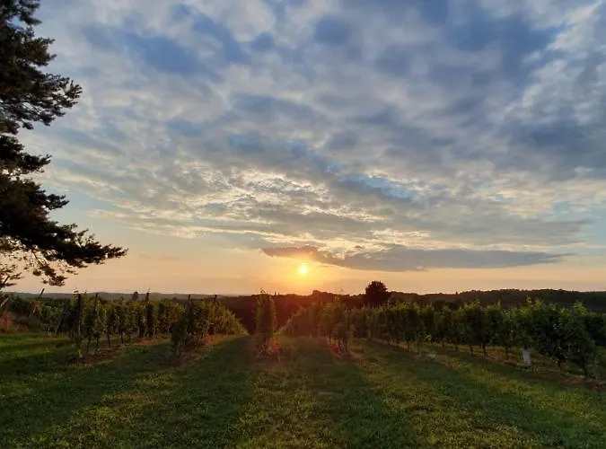 Pocitniska Hisa Soncni Vrh Spodnji Ivanjci