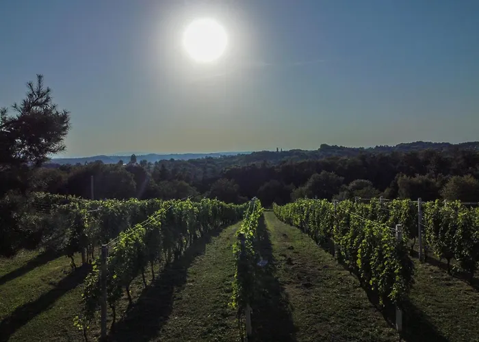 別荘 Pocitniska Hisa Soncni Vrh