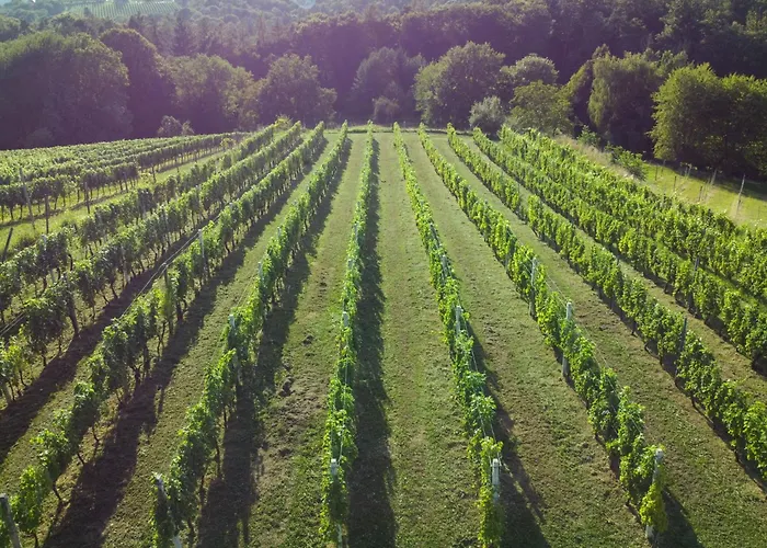 Pocitniska Hisa Soncni Vrh *